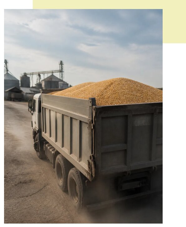 Перевозка сельхозпродукции навалом в Дедовск по цене от 3299 р. | Агросервис-Ддв